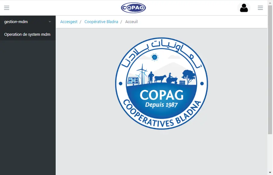 COPAG MDM - Master Data Management